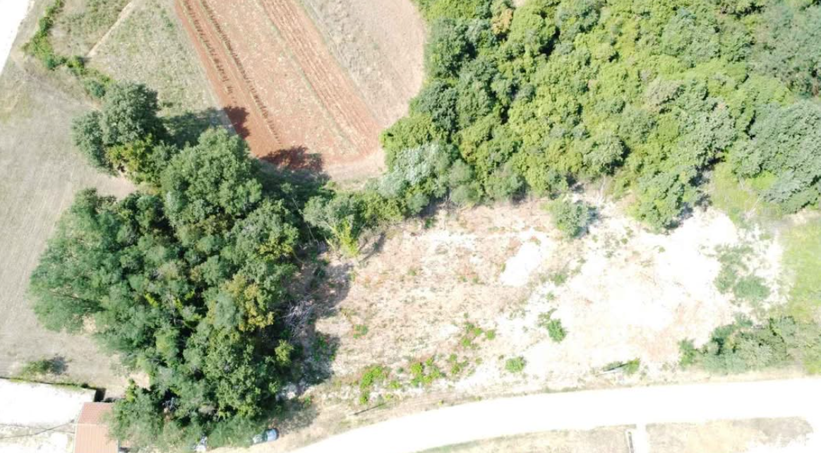 Grundstücksfläche und angrenzende Vegetation aus der Luft